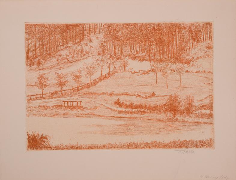 On the Riverbank. Landscape 1