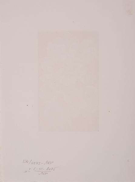Букет 2