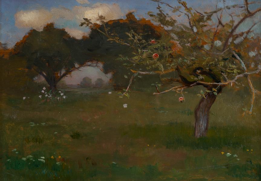 Garden with an Apple Tree 1