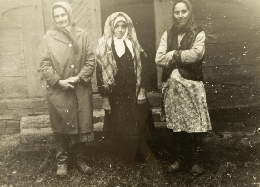 Three Older Women Against the Portal