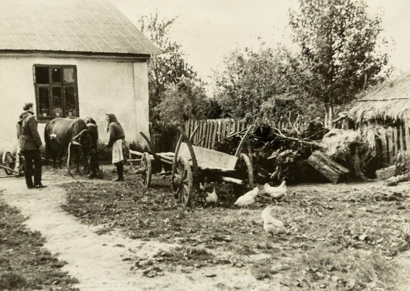 Сільський двір