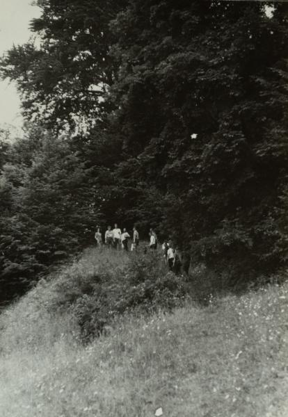 In Nature