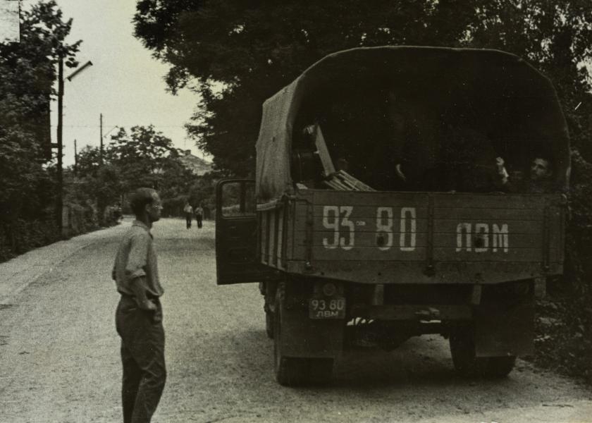 Domestic Scene with a Truck