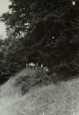 In Nature — unknown